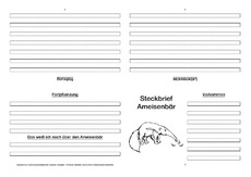 Ameisenbär-Faltbuch-vierseitig.pdf